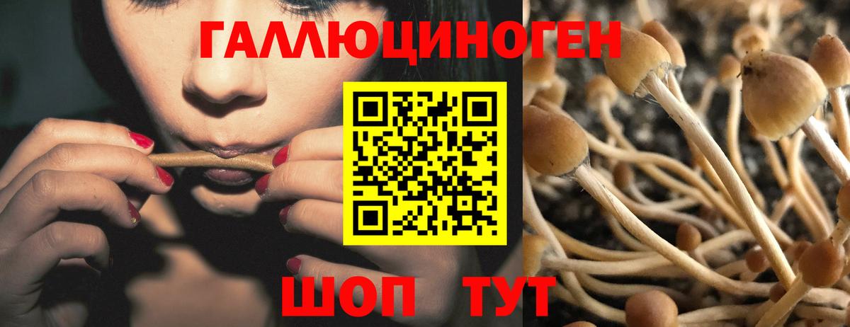 Галлюциногенные грибы MAGIC MUSHROOMS Тулун